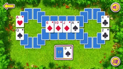 Summer Solitaire The Card Game应用截图