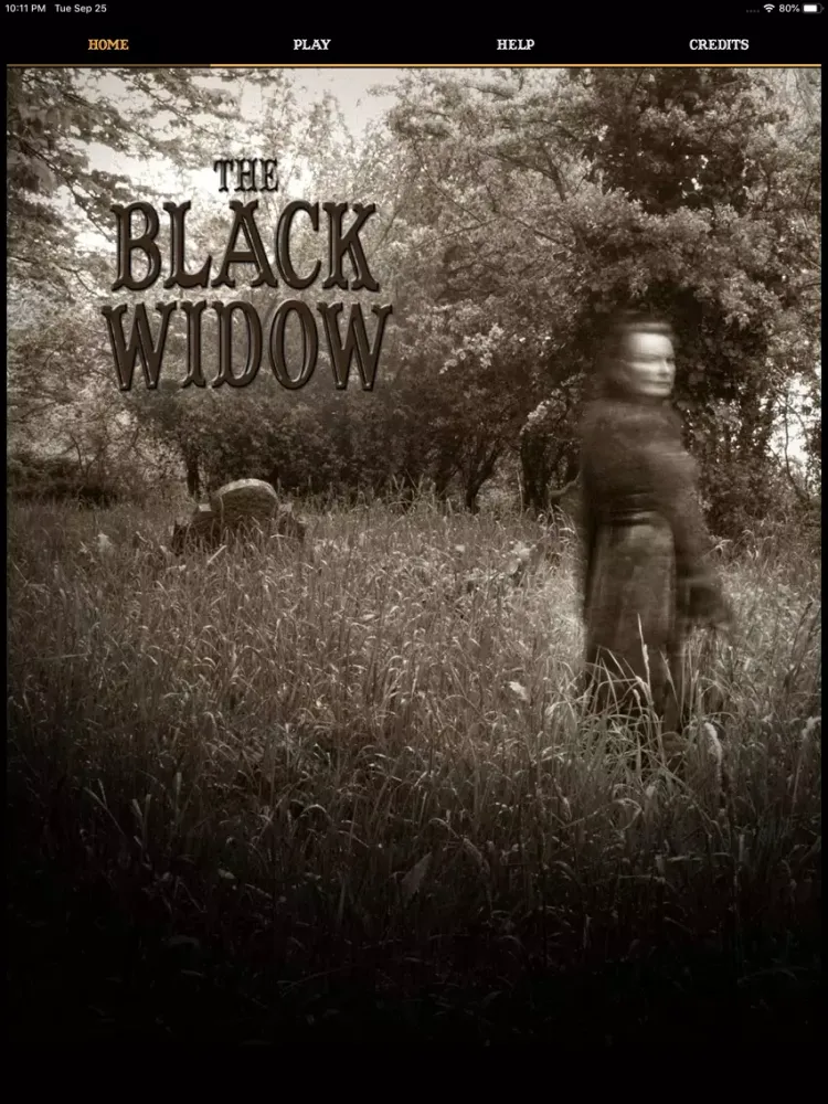 Capturas de tela do The Black Widow iPad 