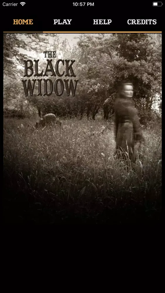 Capturas de tela do The Black Widow