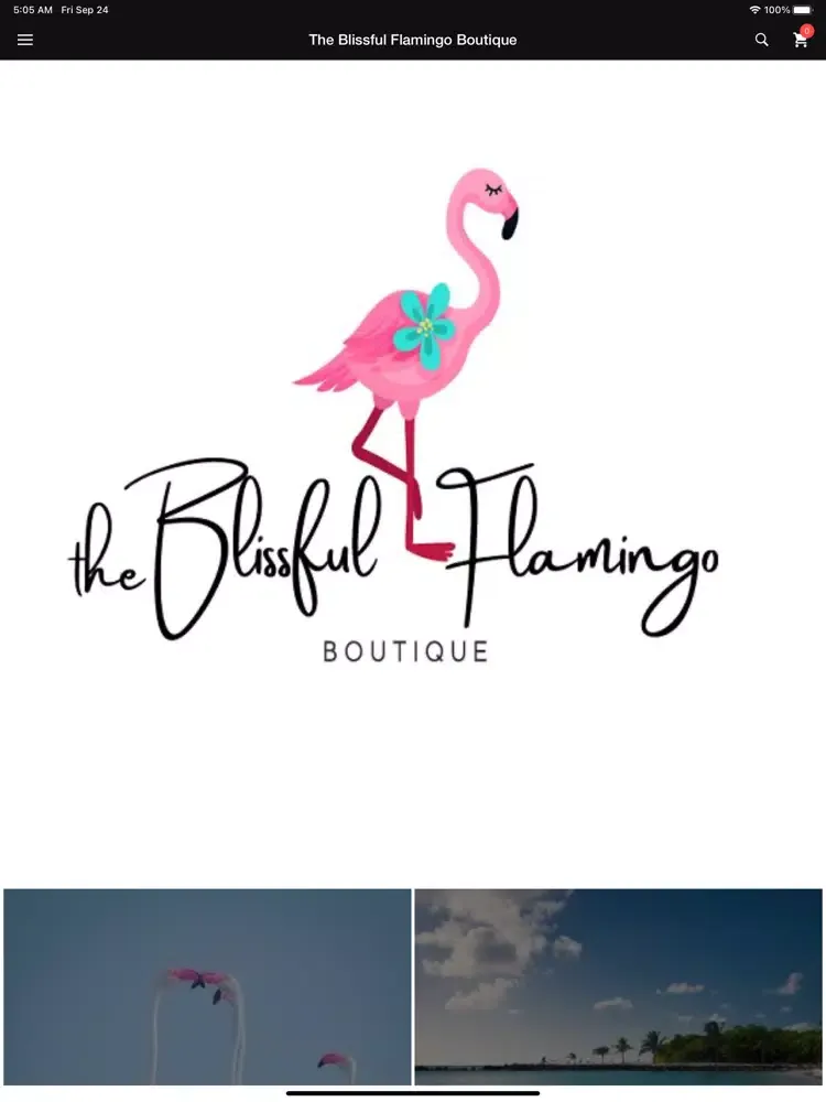 Captures d'écran de The Blissful Flamingo Boutique iPad 