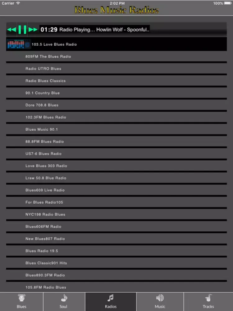 Capturas de tela do Acoustic Radios Blues Rock Soul Folk iPad 