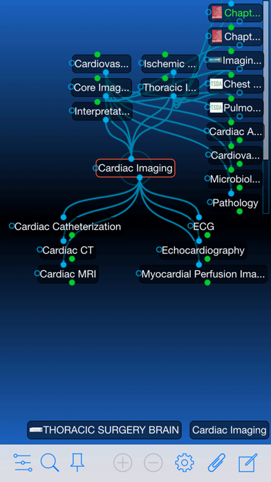 Screenshot di STS Brain