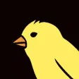 Canary Sings Canary Sings