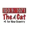 The Cat Albany