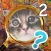 Find the Cat 2 - look for a cat on a picture