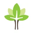 Grace Life Baptist