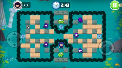 Ninja Boy Adventures - Bomberman edition应用截图