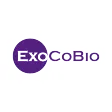 ASCEplus