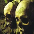عبر الزمن ٢-الذي عاد- مجاني عبر الزمن ٢-الذي عاد- مجاني