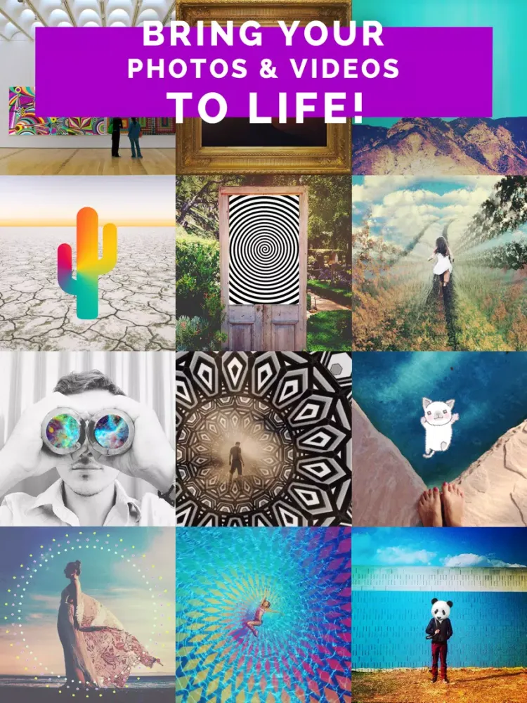 Capturas de tela do GIF X - Best GIF Video Maker iPad 