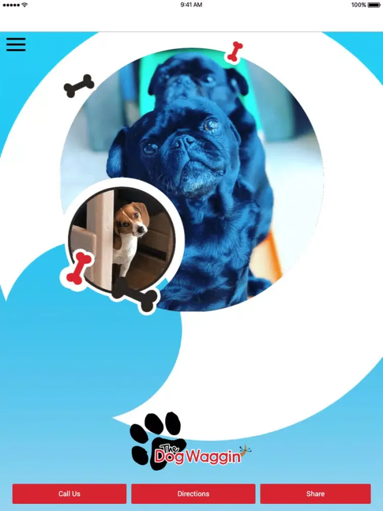The Dog Waggin' iPad 应用截图