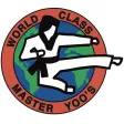 Master Yoo's World Class TKD