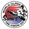 Master Shin's World Class TKD