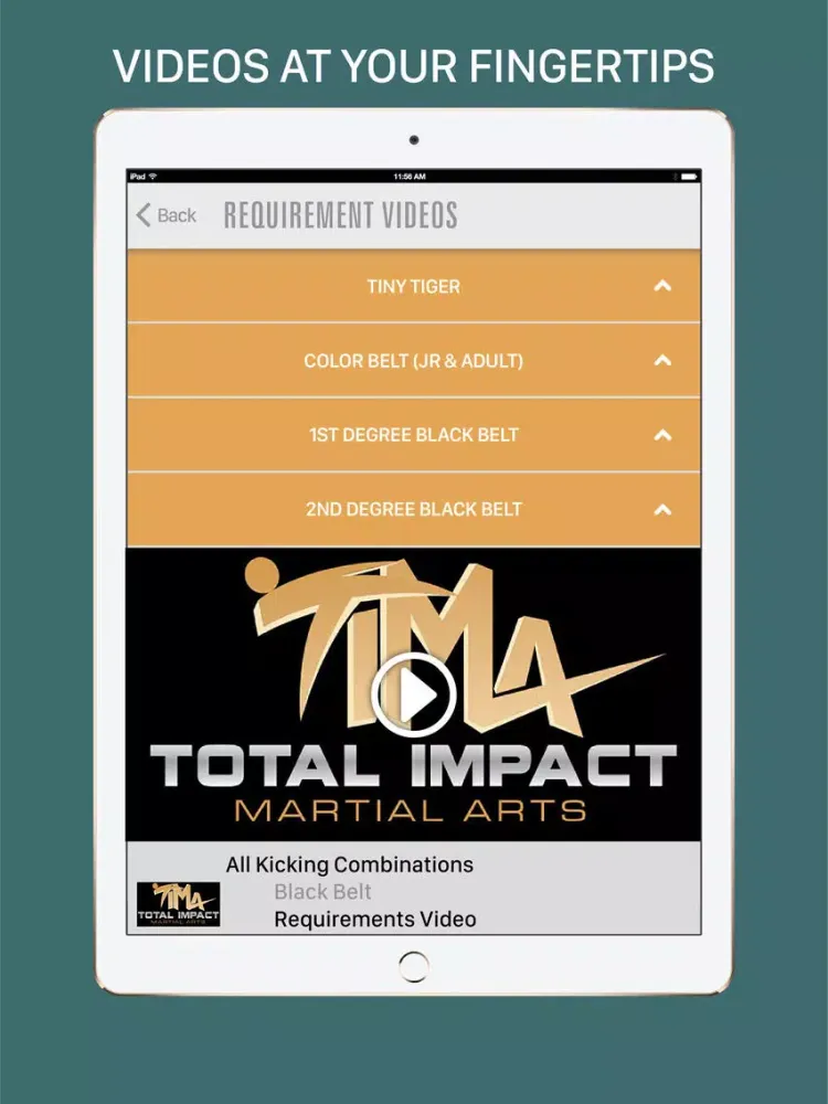 Tangkapan layar Total Impact Martial Arts iPad 