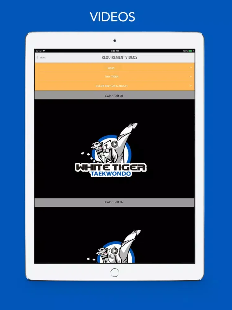 White Tiger TKD iPad 应用截图