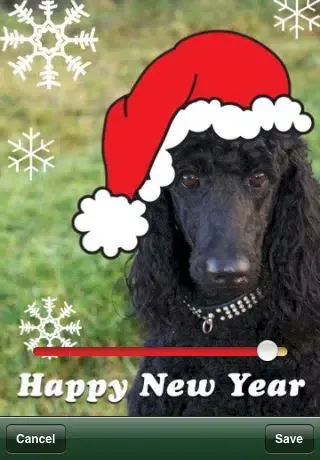 تصاویر Xmas Hats