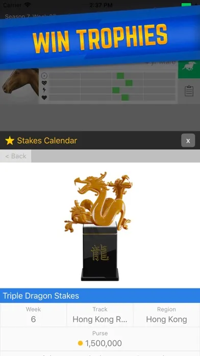 Captures d'écran de Stable Champions