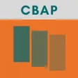 IIBA CBAP Exam