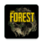 The Forest The Forest