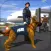Police Dog Airport Crime Chase