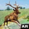 AR Safari - Forest Adventure