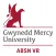 GMercyU's ABSN VR Experience