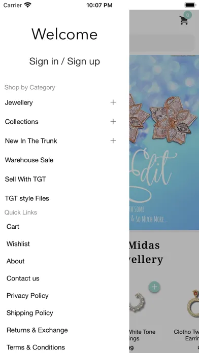 The Glocal Trunk. Screenshots