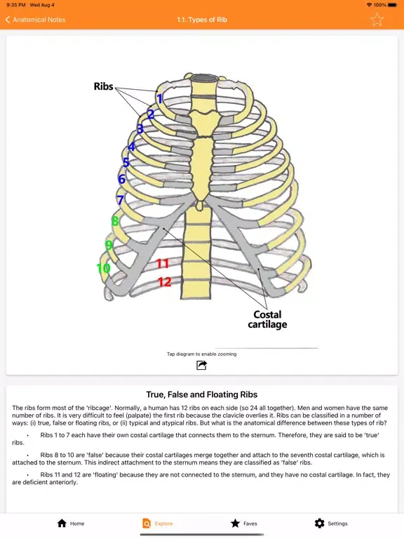 صور The Goofy Anatomist iPad 