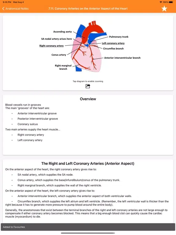 صور The Goofy Anatomist iPad 