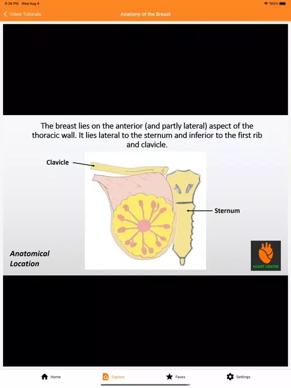 صور The Goofy Anatomist iPad 
