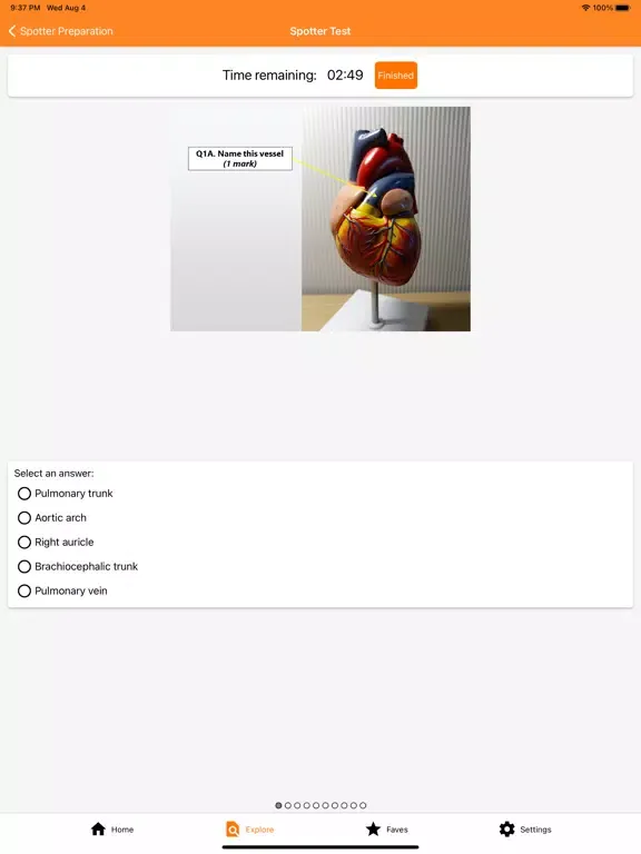 صور The Goofy Anatomist iPad 