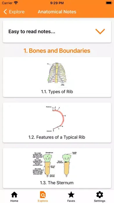 صور The Goofy Anatomist