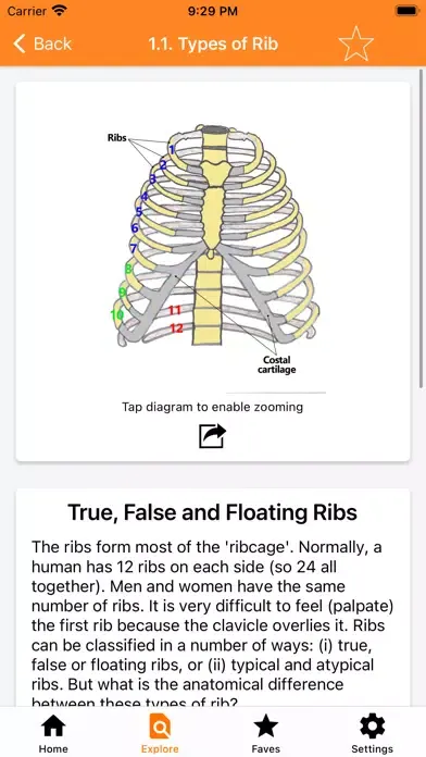 صور The Goofy Anatomist