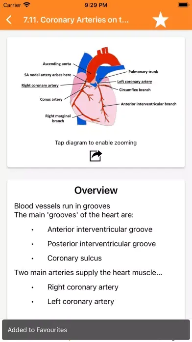 صور The Goofy Anatomist