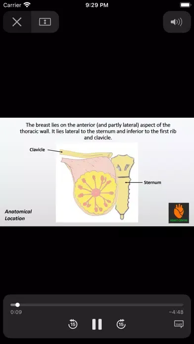 صور The Goofy Anatomist