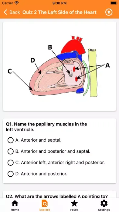 صور The Goofy Anatomist