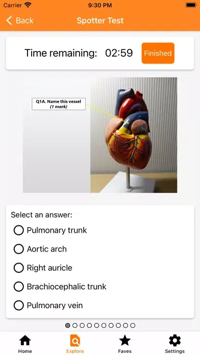 صور The Goofy Anatomist