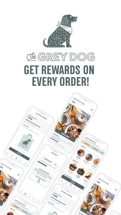 The Grey Dog App স্ক্রিনশট