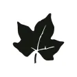 Ivy: Playlists with Friends