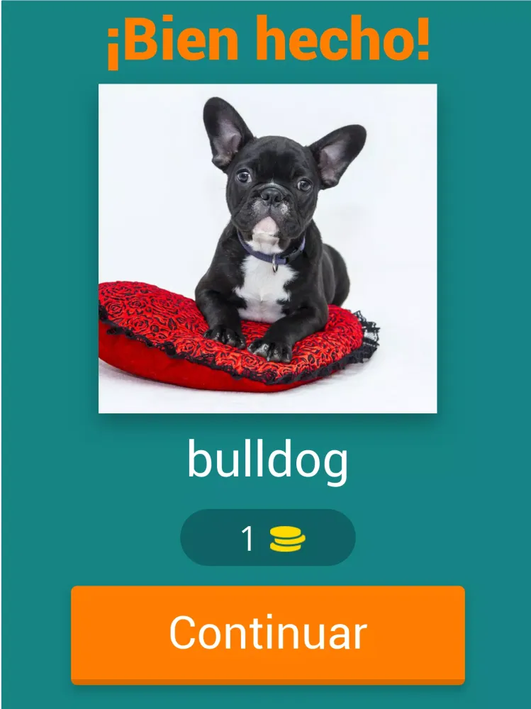 Capturas de tela do Adivina la raza de perros