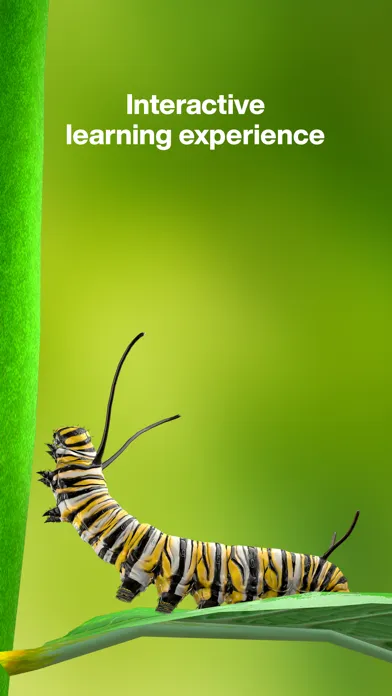 Butterfly Story স্ক্রিনশট