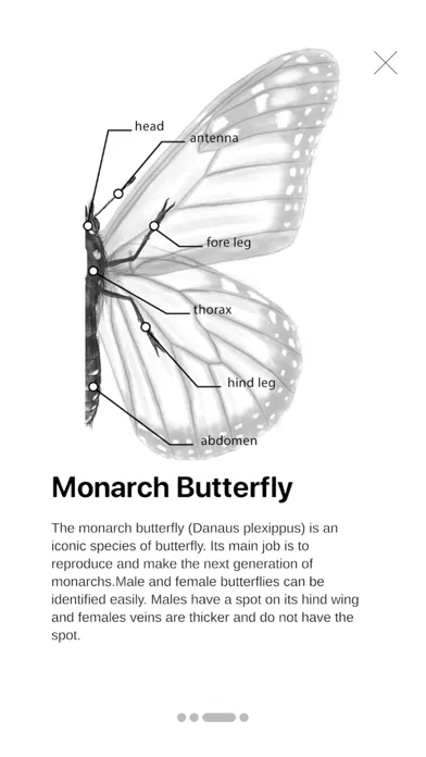 Butterfly Story স্ক্রিনশট