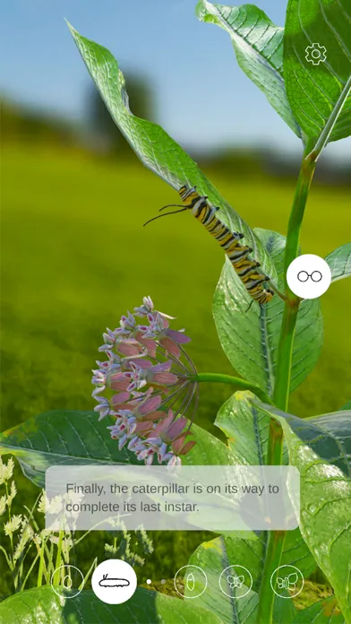 Butterfly Story স্ক্রিনশট