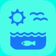 LOZ App LOZ App