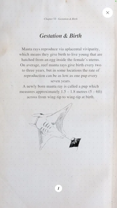 Captures d'écran de Manta Story
