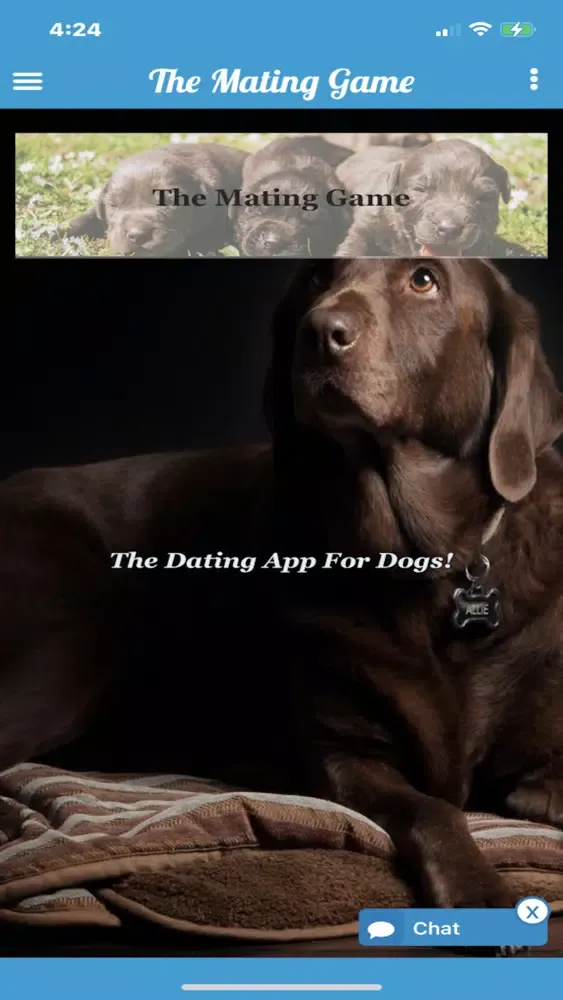 تصاویر The Mating Game