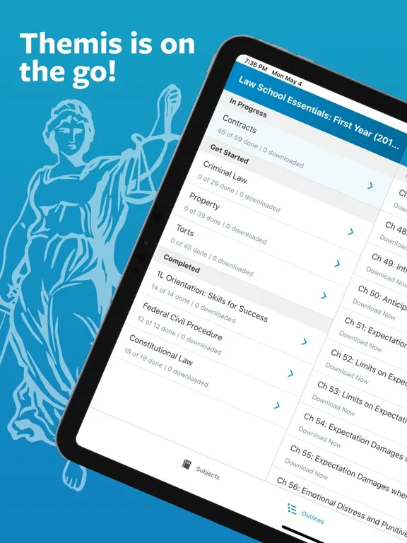 Zrzuty ekranu Themis Bar Review iPad 