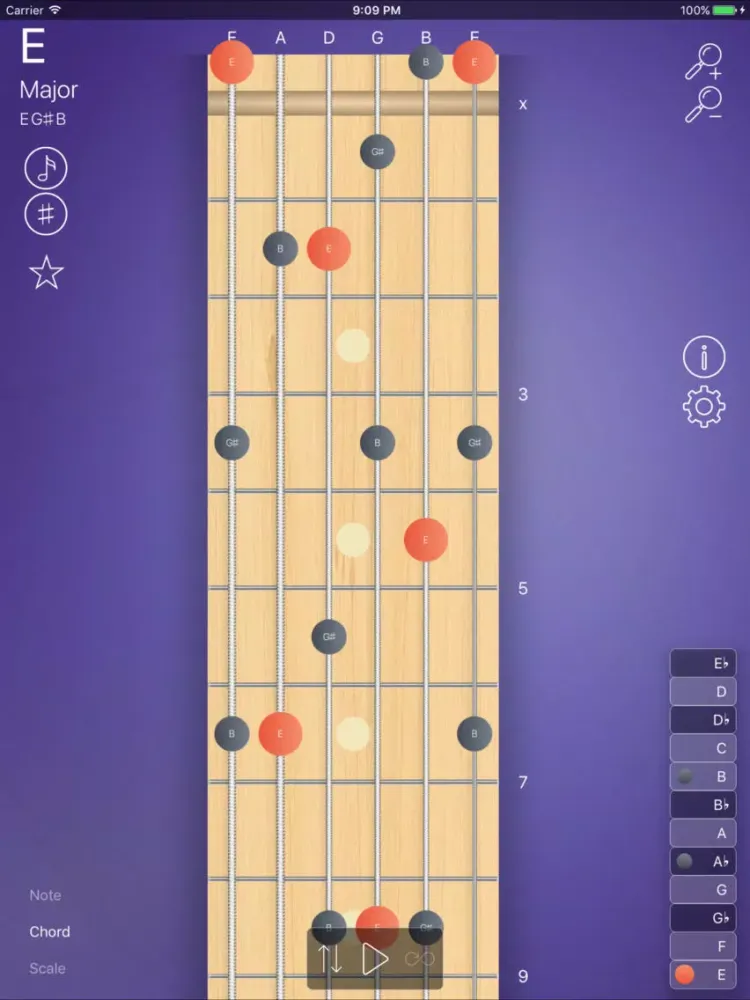 FretBoard - Scales & Chords iPad  스크린샷