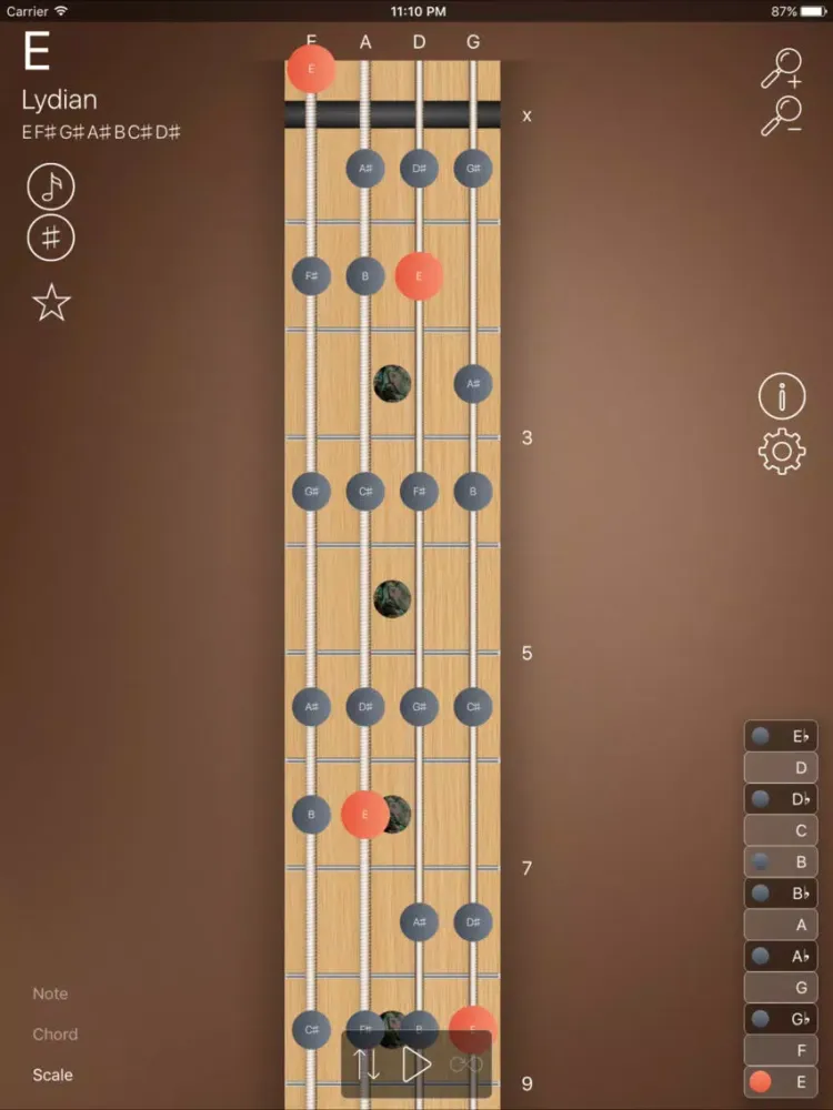 FretBoard - Scales & Chords iPad  스크린샷