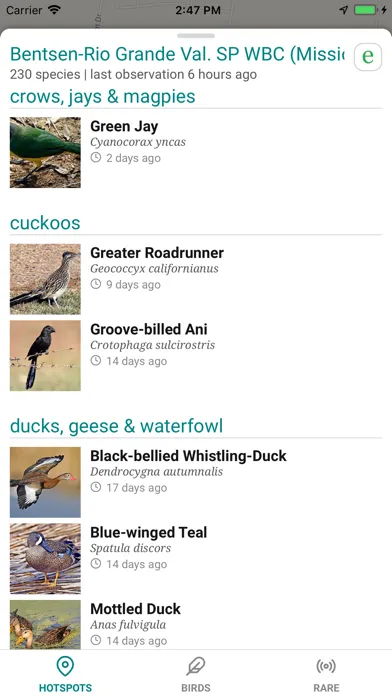 GoBird - Guide to Nearby Birds 스크린샷
